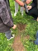 ASÜ Özel Eğitim Topluluğu Fidan Dikme ve Sanat Etkinlikleri Düzenledi