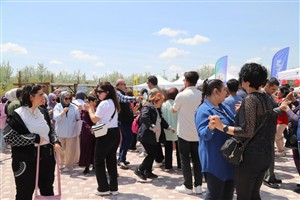 Aksaray Üniversitesinde Engelsiz Bahar Şenlikleri Coşkusu Yaşandı